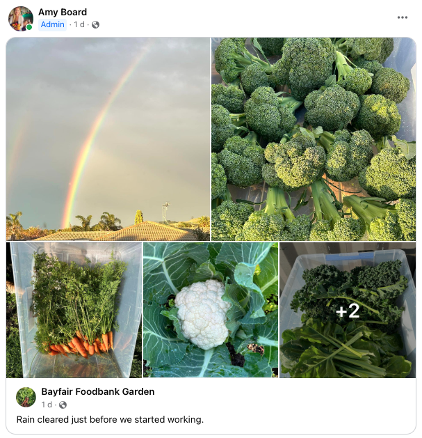 Bayfair Foodbank Garden