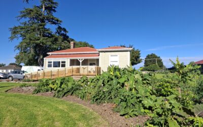 Ngāti Kahu Hauora Food Forest